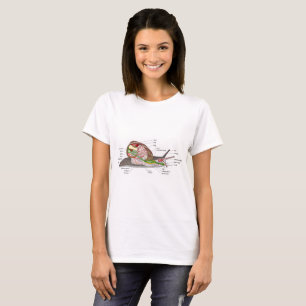 Diagram slak Helix aspersa doorgesneden orgaan T-shirt
