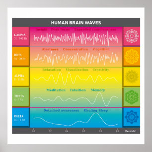 Diagram van de menselijke breingolven - regenboogk poster