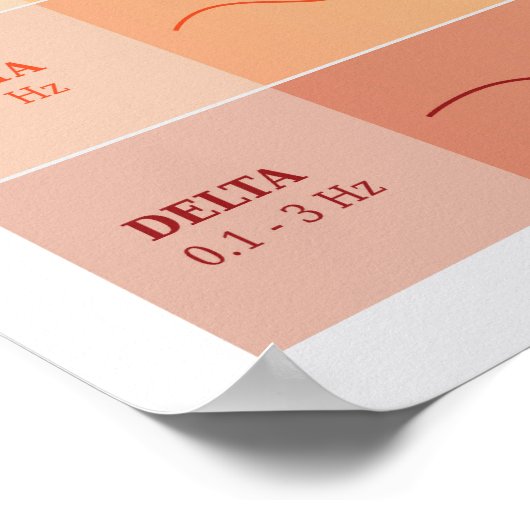 Diagram van de menselijke breingolven - regenboogk poster (Hoek)