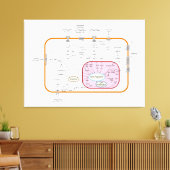 Diagram van de paden van de cel gensignaaloverdrac canvas afdruk (Insitu (Woonkamer))