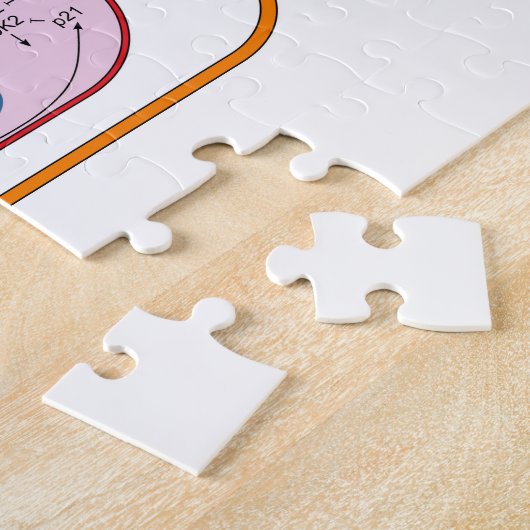 Diagram van de paden van de cel gensignaaloverdrac legpuzzel (Zijkant)