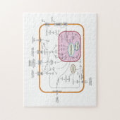 Diagram van de paden van de cel gensignaaloverdrac legpuzzel (Verticaal)