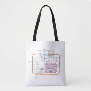Diagram van de paden van de cel gensignaaloverdrac tote bag
