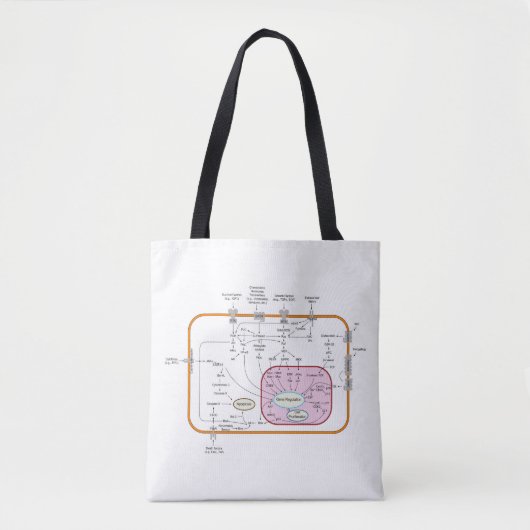 Diagram van de paden van de cel gensignaaloverdrac tote bag (Voorkant)