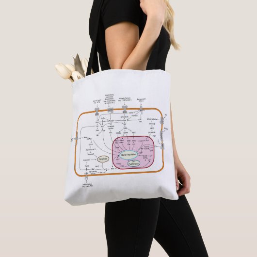 Diagram van de paden van de cel gensignaaloverdrac tote bag (Dichtbij)