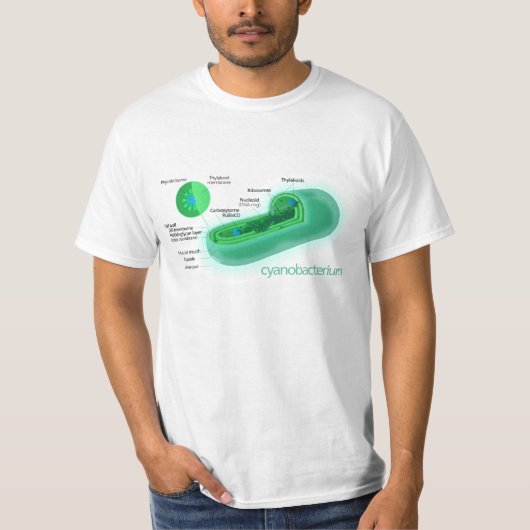 Diagram van een typische cyanobacteriecel t-shirt (Voorkant)