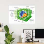 Diagram van een typische Plant celstructuur Poster (Thuiskantoor)