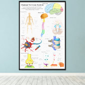 Diagram van het humaan brein en centraal zenuwstel canvas afdruk (Insitu (Houten vloer))