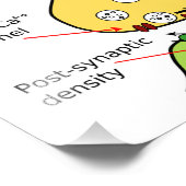 Diagram van het humaan brein en centraal zenuwstel foto afdruk (Hoek)