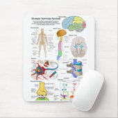 Diagram van het humaan brein en centraal zenuwstel muismat (Met muis)