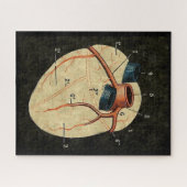 diagram van het menselijk hart legpuzzel (Horizontaal)