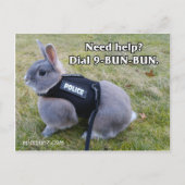 Dial 9 Bun Bun Briefkaart (Voorkant)