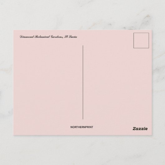 Diamant Botanische Tuinen St Lucia Briefkaart (Achterkant)