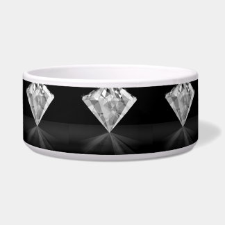 Diamant op achterkant voerbakje