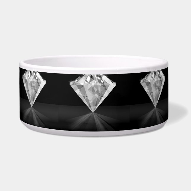 Diamant op achterkant voerbakje (Voorkant)