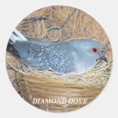 DIAMANTDUIF OP NEST STICKER (Voorkant)
