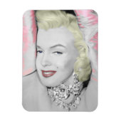 diamanten magneet (Verticaal)