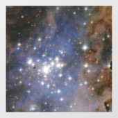 Diamanten sterren in Carina Nebula Hubble Space Raamsticker (Vel)