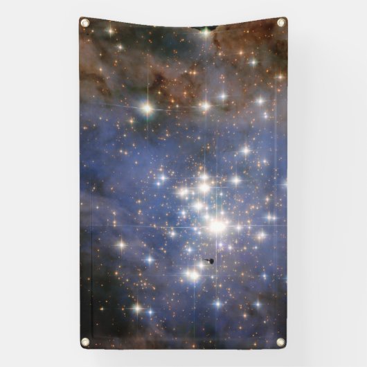 Diamanten sterren in Carina Nebula Hubble Space Spandoek (Verticaal)