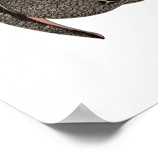 Diamond 2012 poster (Hoek)