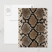 Diamond Back Rattlessnake Skin Briefkaart (Voorkant / Achterkant)