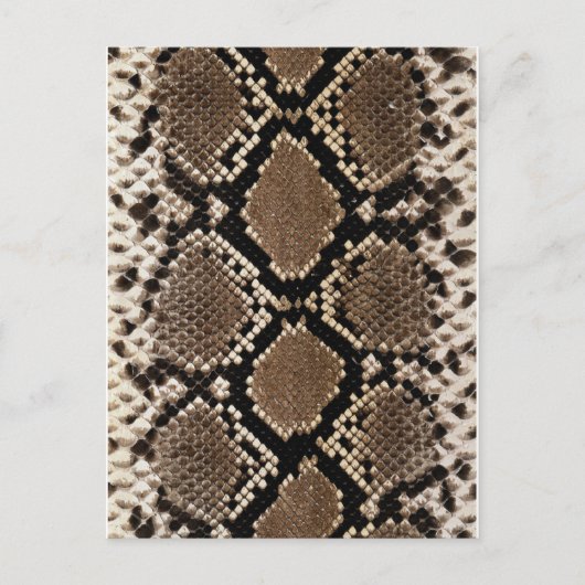 Diamond Back Rattlessnake Skin Briefkaart (Voorkant)