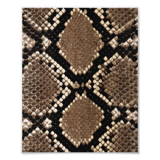 Diamond Back Rattlessnake Skin Foto Afdruk (Voorkant)