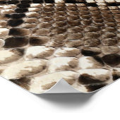 Diamond Back Rattlessnake Skin Poster (Hoek)