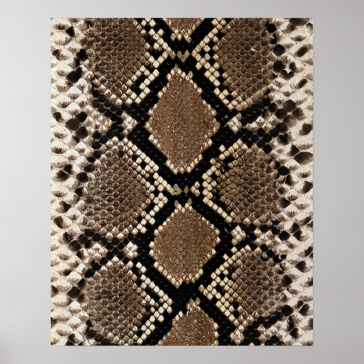 Diamond Back Rattlessnake Skin Poster (Voorkant)