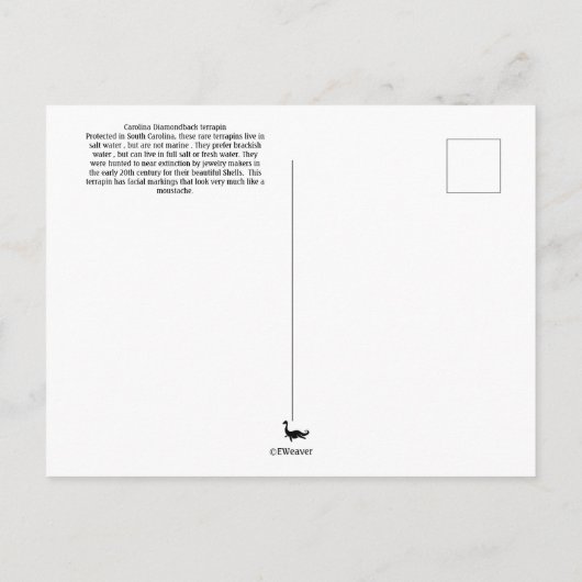 Diamond Back terrapin Briefkaart (Achterkant)