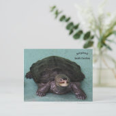 Diamond Back terrapin Briefkaart (Staand voorkant)