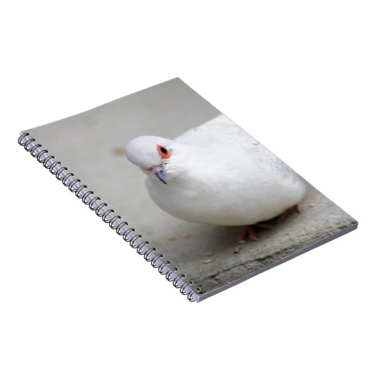 Diamond Dove Bird journal Notitieboek (Rechterzijde)