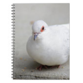 Diamond Dove Bird journal Notitieboek (Voorkant)