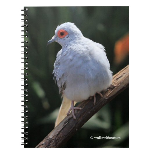 Diamond Dove in de Spotlight Notitieboek (Voorkant)