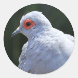 Diamond Dove in de Spotlight Ronde Sticker