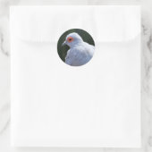 Diamond Dove in de Spotlight Ronde Sticker (Tas)