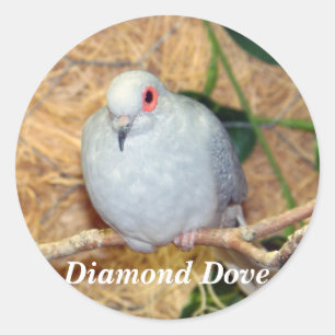 DIAMOND DOVE RONDE STICKER