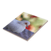 Diamond Dove-vogeltegel Tegeltje (Zijkant)