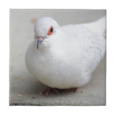 Diamond Dove-vogeltegel Tegeltje (Voorkant)