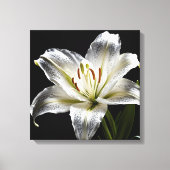 Diamond Dust Lily Canvas Afdruk (Voorkant)
