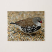 Diamond Firetail Finch Legpuzzel (Horizontaal)