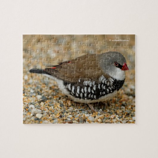 Diamond Firetail Finch Legpuzzel (Horizontaal)