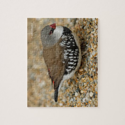 Diamond Firetail Finch Legpuzzel (Verticaal)