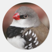 Diamond Firetail Finch Ronde Sticker (Voorkant)