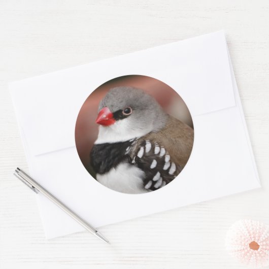 Diamond Firetail Finch Ronde Sticker (Envelop)