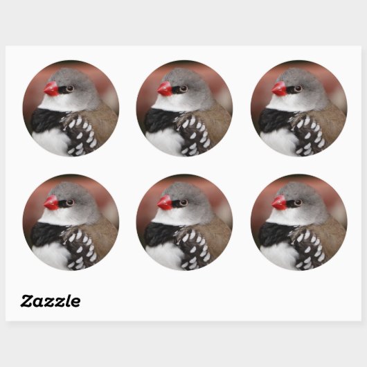 Diamond Firetail Finch Ronde Sticker (Vel)