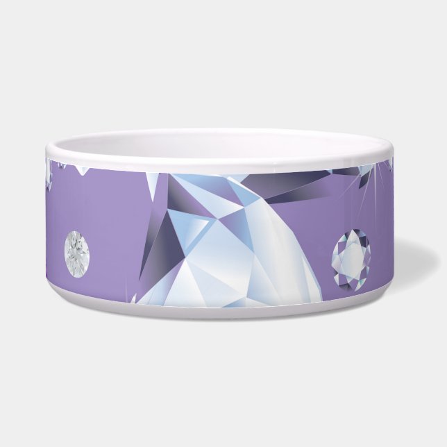 Diamond Galaxy 2 Voerbakje (Voorkant)