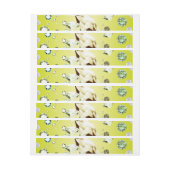 Diamond Galaxy 8 (Vel)