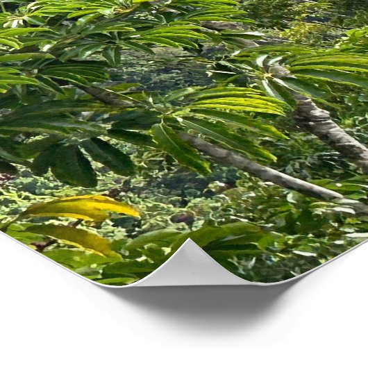 Diamond Head Poster (Hoek)