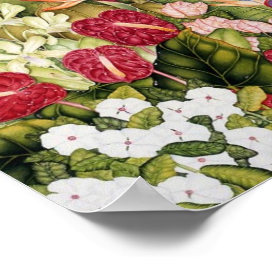 Diamond Head Poster (Hoek)